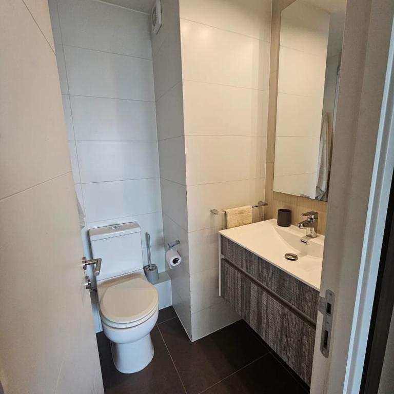 Apartamento en Viña del Mar excelente ubicación - Apartamento de 1 dormitorio - 4