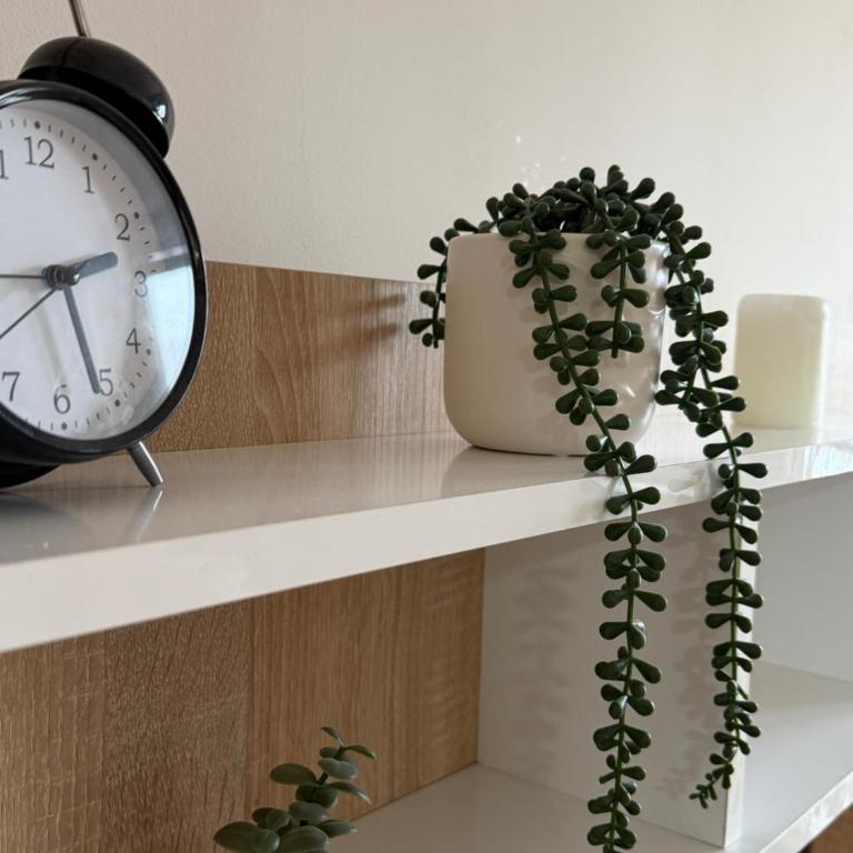 MO Center Apartment - One-Bedroom Apartment - 3