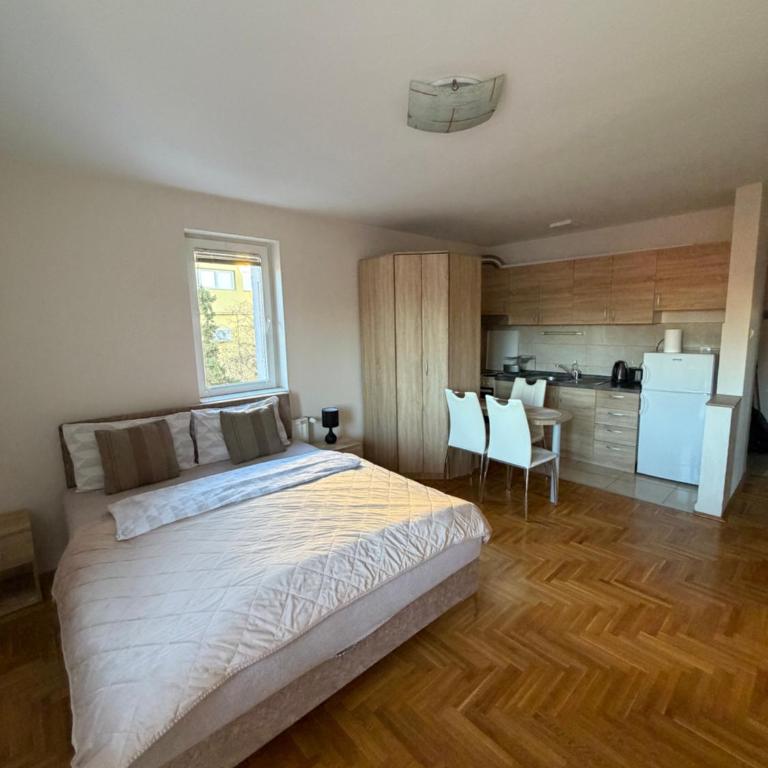 MO Center Apartment - One-Bedroom Apartment - 6