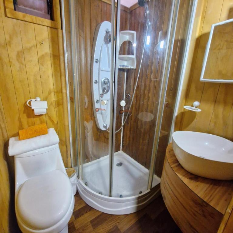 Wildepartamentos Valdivia ER - Apartamento - 4