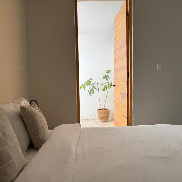 Casa 821 Guest House - Superior Double Room - 20