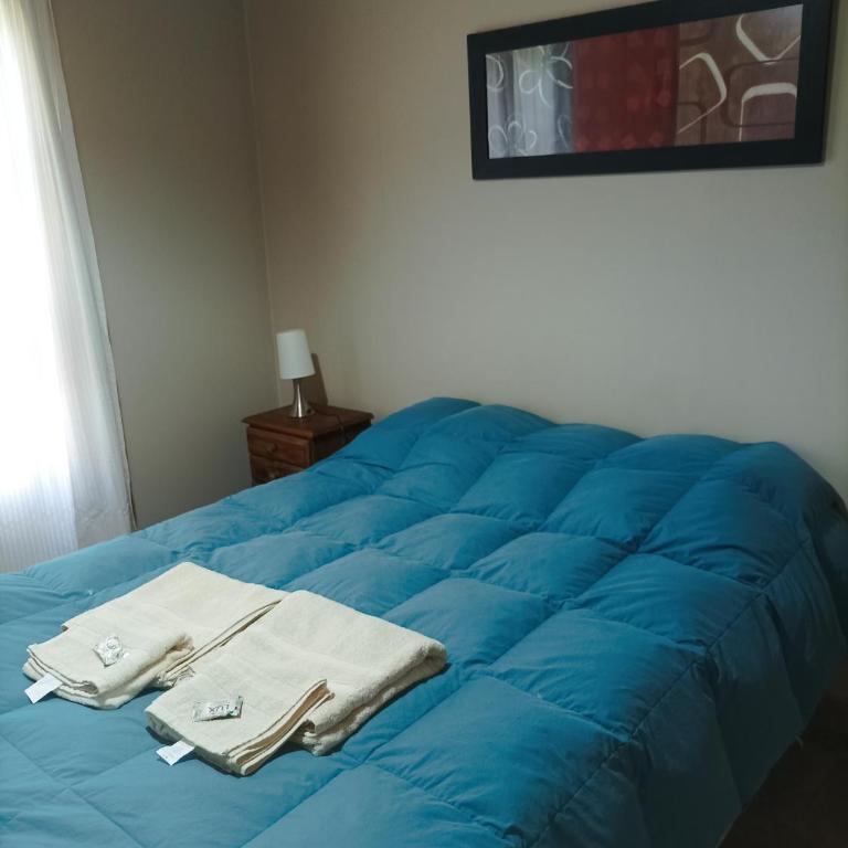 Cabañas El Fogón - Casa con 1 dormitorio - 4