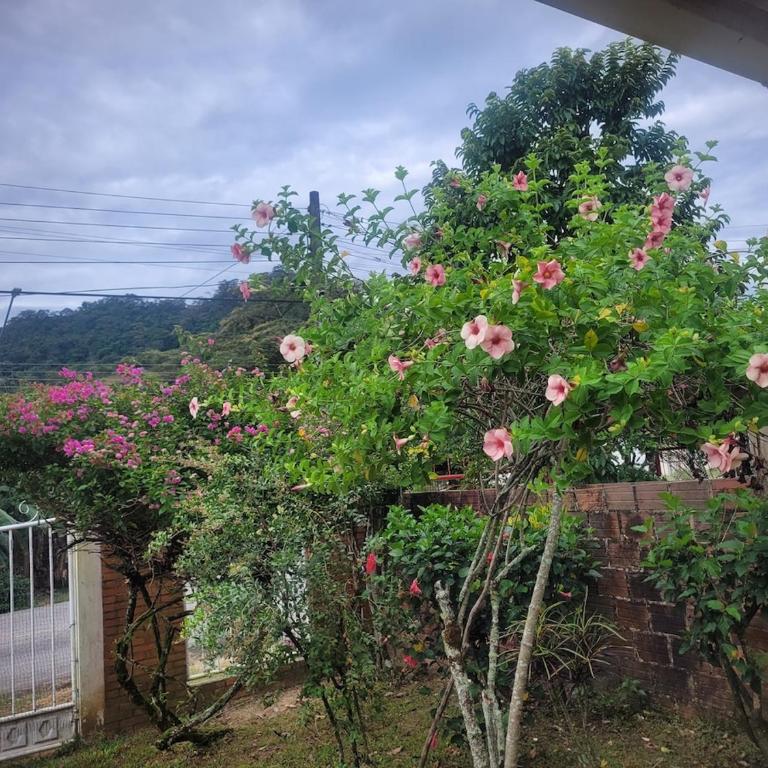 El rancho de mi viejo - Casa de 4 dormitorios - 24