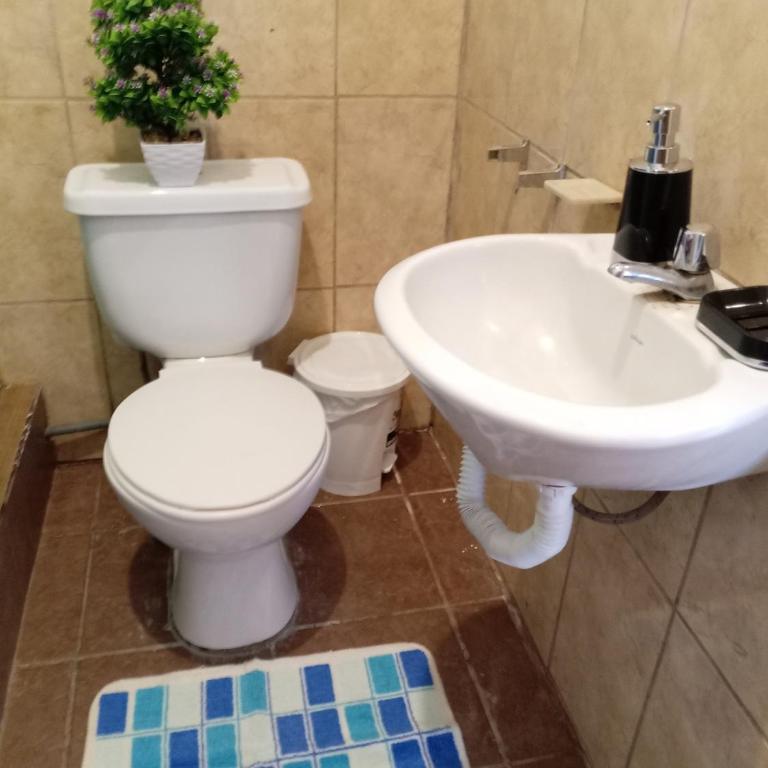 Descubre la casita de chocolate en Mindo - Two-Bedroom House - 5