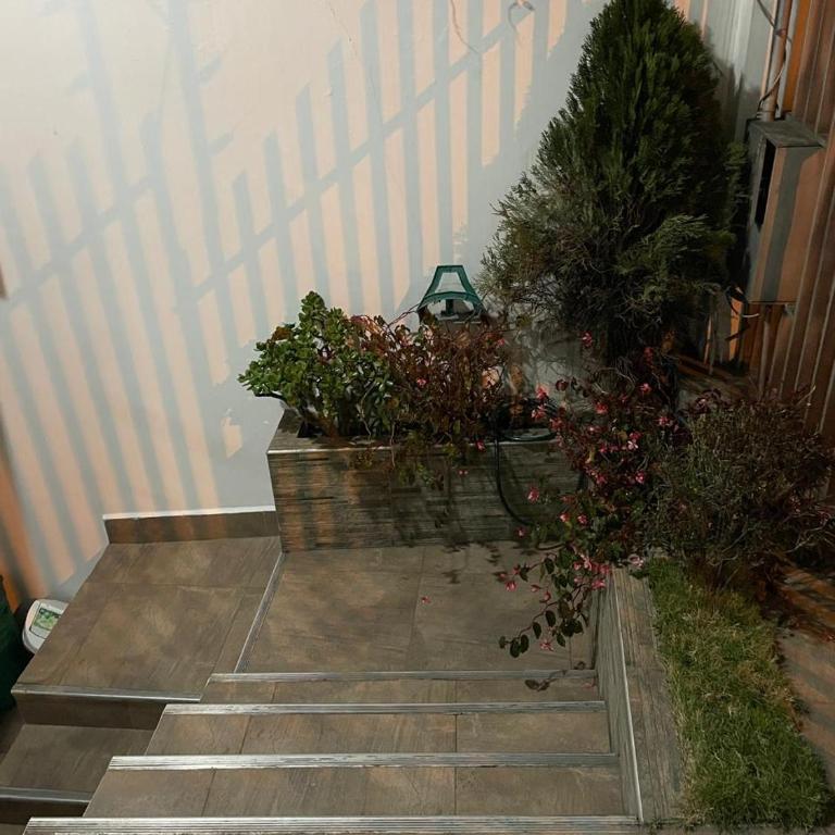 Castellana Loja House Casa Época - Three-Bedroom House - 19