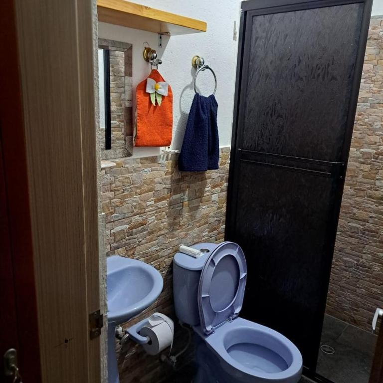Finca El Profe - Three-Bedroom Villa - 24