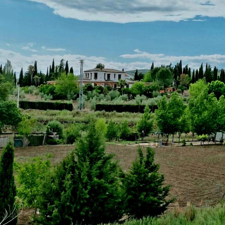 Cortijo Los Arcos - Lujo rural con piscina y vistas espectaculares en Málaga - Five-Bedroom House - 4