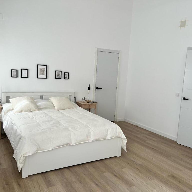 Gran apartamento Larios - Apartamento - 2