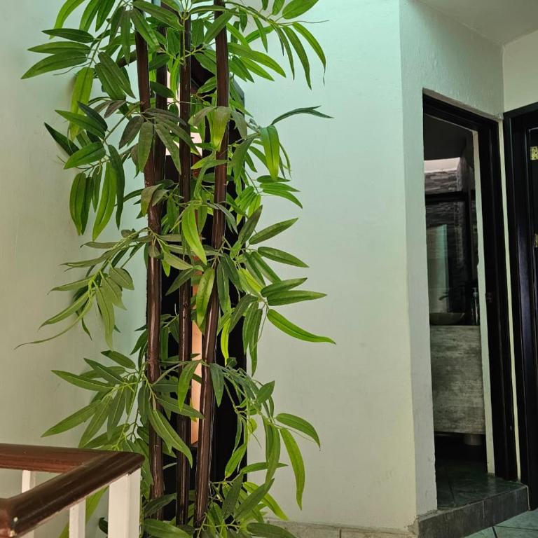 Casa Residencial la Barranca - Apartamento de 1 dormitorio - 18