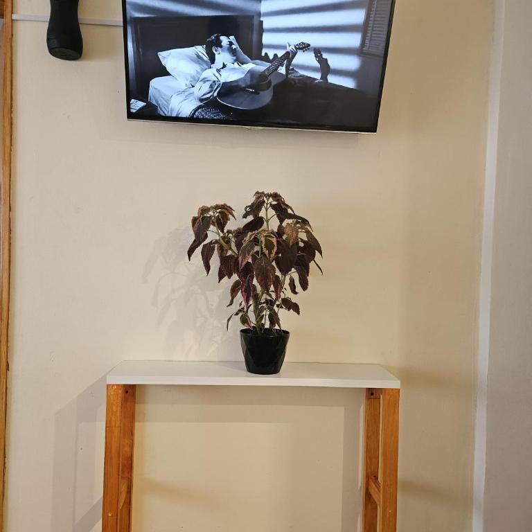 Monoambiente 2 o 3 personas cerca de playa y centro - Apartamento de 1 dormitorio - 4