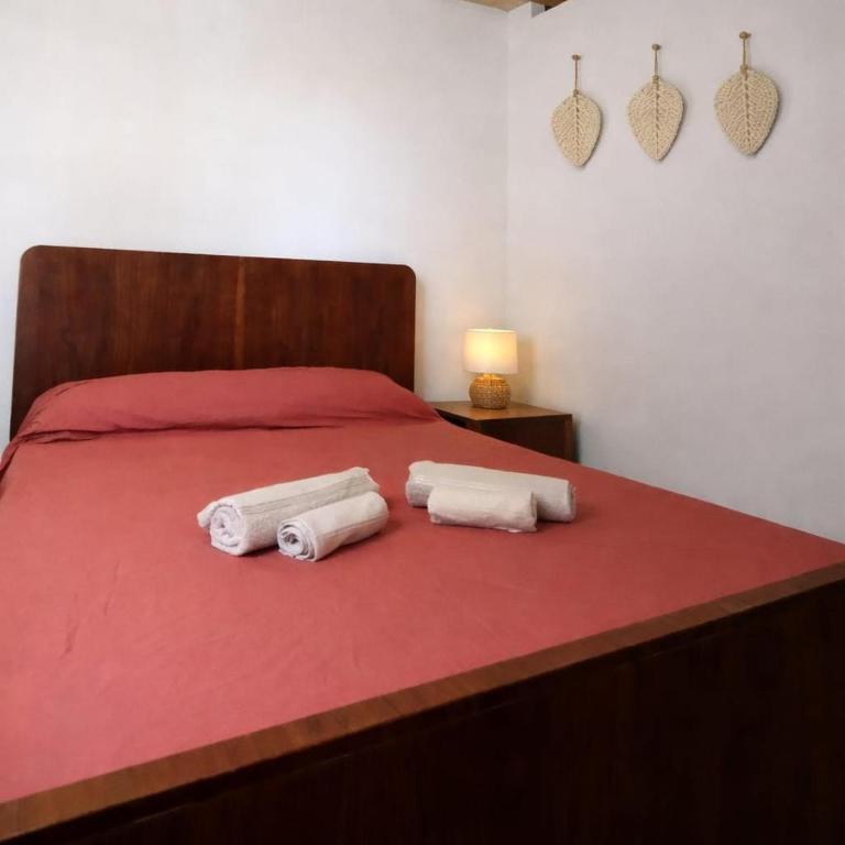 Departamento Mitre - Apartamento de 1 dormitorio - 5