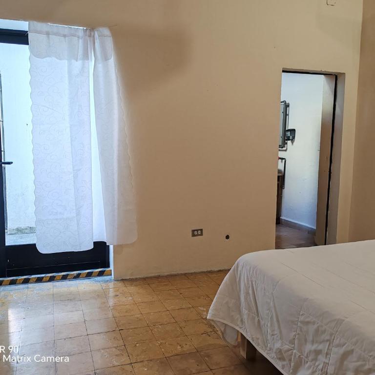 Hostalgia Casa Zul - Habitación Familiar con baño privado - 5