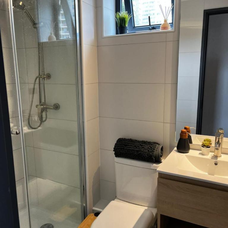 HOM I Vina del Mar I Parking I Piscina - Apartment - 52