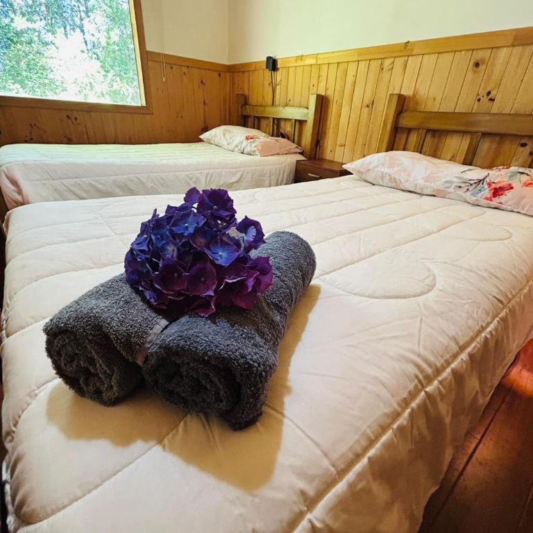 Parcela Traitraico, Coñaripe - Casa - 20