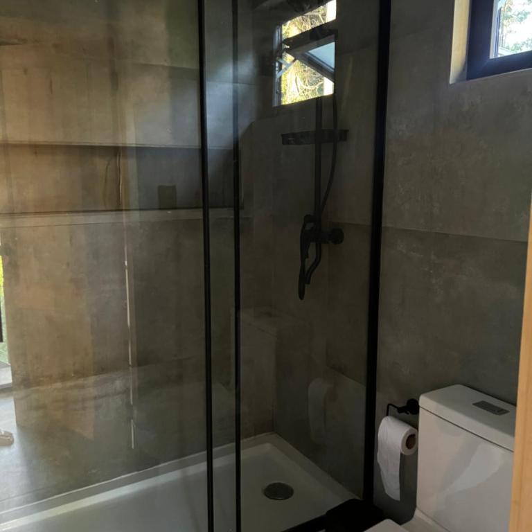 Cabaña 2-3 personas Valdivia - Apartamento de 1 dormitorio - 1