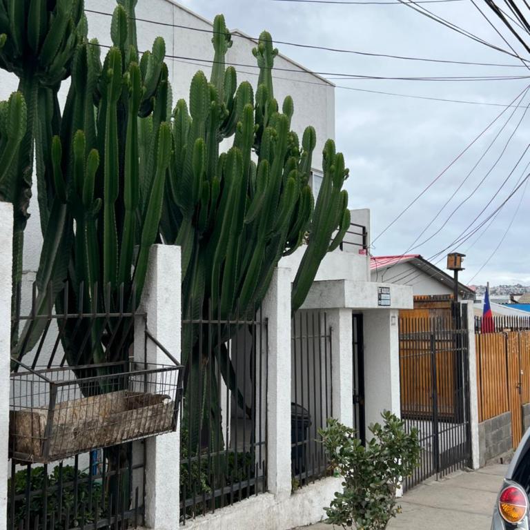 MINI Dpto muy bien ubicado - Two-Bedroom Apartment - 8