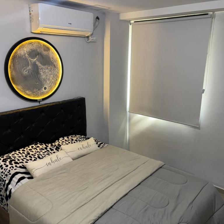 Calma Urbana - Apartamento de 1 dormitorio - 13