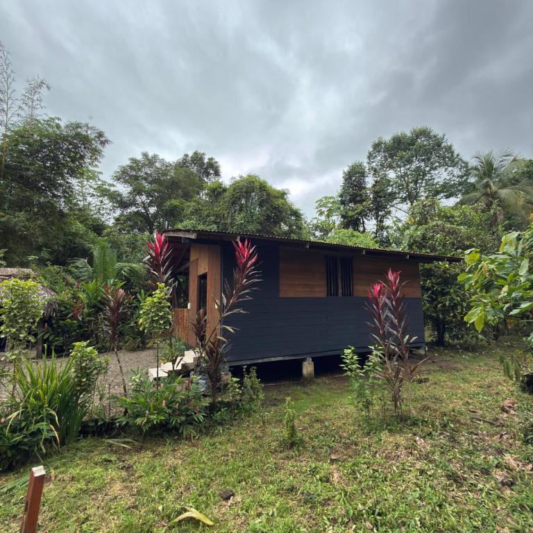 Casa Selva - Casa con 1 dormitorio - 3