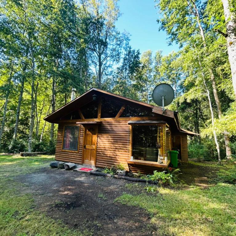 Parcela Traitraico, Coñaripe - Casa - 13