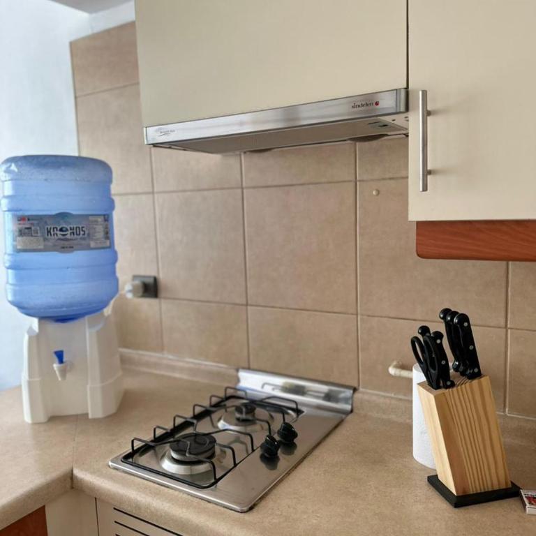 Dos Departamentos Equipados en Centro de Santiago Cerca Movistar Arena - One-Bedroom Apartment - 50
