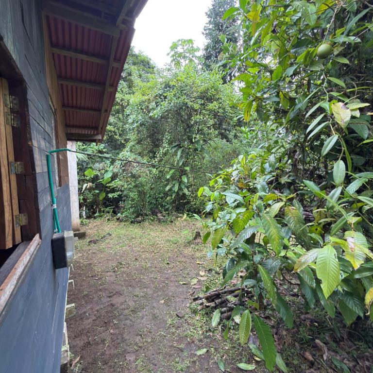 Casa Selva - Casa con 1 dormitorio - 23