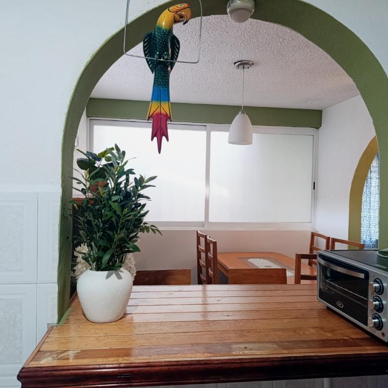 Rincón "Ita Nuu" 2BR raíz y aventura en la ciudad - Apartamento de 2 dormitorios - 22