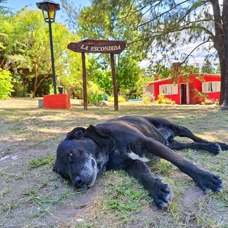 La escondida - Two-Bedroom House - 17