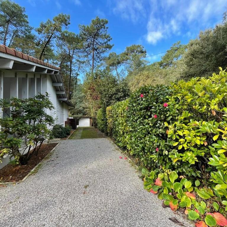 Villa spacieuse avec jacuzzi et piscine chauffée à Hossegor - FR-1-413-261 - Villa - 10