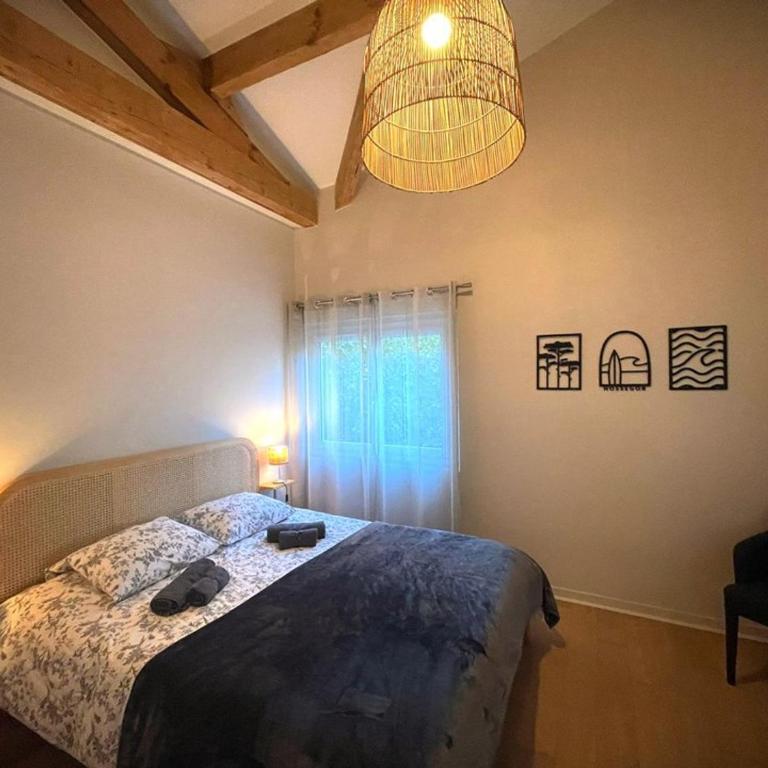 Villa spacieuse avec jacuzzi et piscine chauffée à Hossegor - FR-1-413-261 - Villa - 26