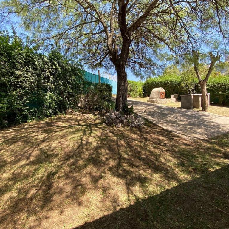 Bendecida - Casa de 2 dormitorios - 13