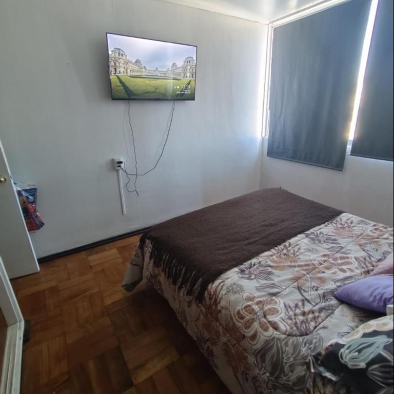 Edificio central - Apartamento de 2 dormitorios - 2