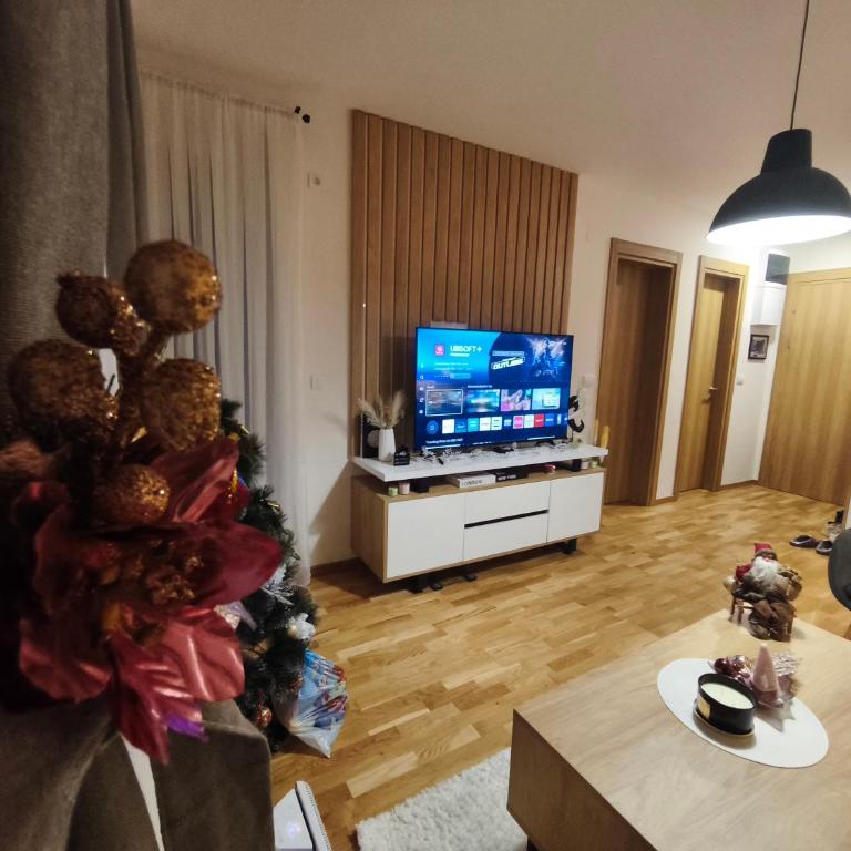 Lenka Lux Apartmans - Apartman sa 1 Spavaćom Sobom - 7