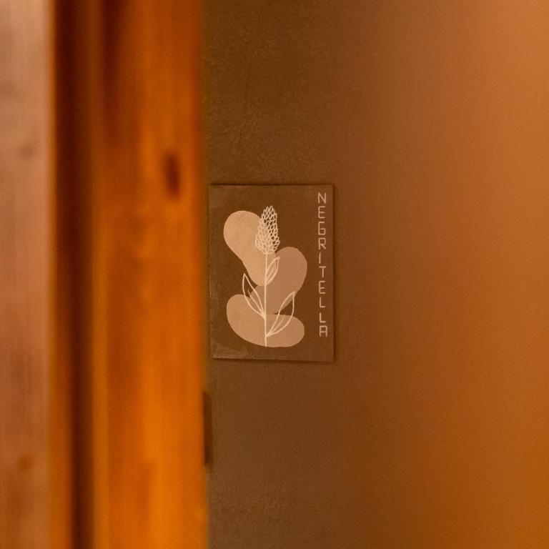 Guest House Fleim - Camera Deluxe - 2