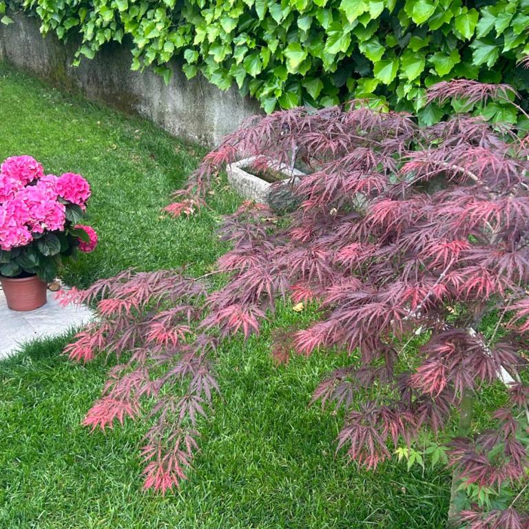 Casa Via Romana - Appartamento con 3 Camere da Letto - 26