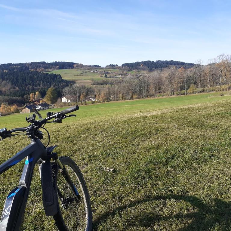 Ferienwohnung Marina in Sankt Englmar, Bayerischer Wald, familienfreundlich - Apartment mit 2 Schlafzimmern - 34