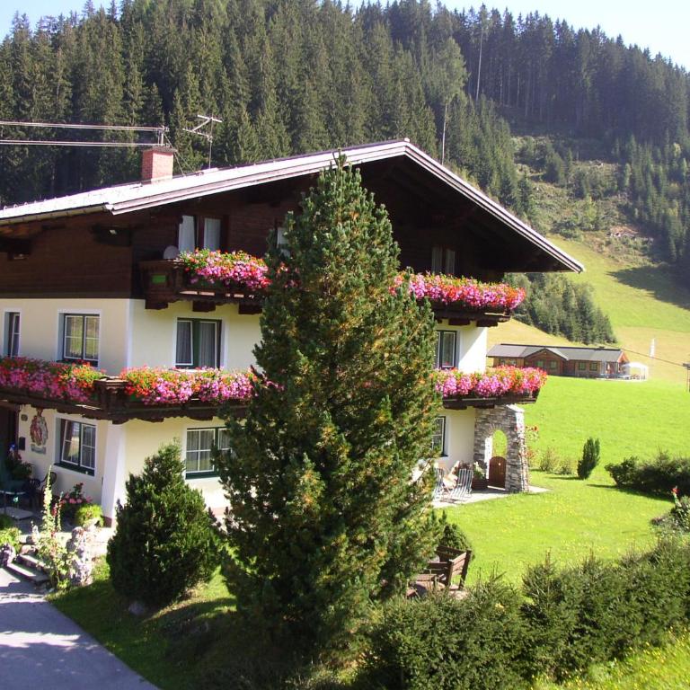 Haus Bittersam - Apartamento de 1 dormitorio - 1