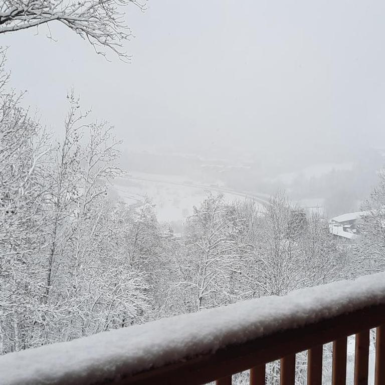 Appartement esprit chalet, proche remontées avec garage - Appartement 2 Chambres avec Vue sur la Montagne - 47