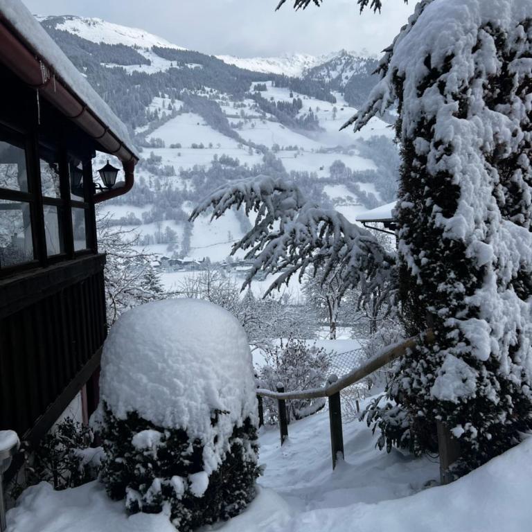 Patzberg Liesl - Chalet - 2