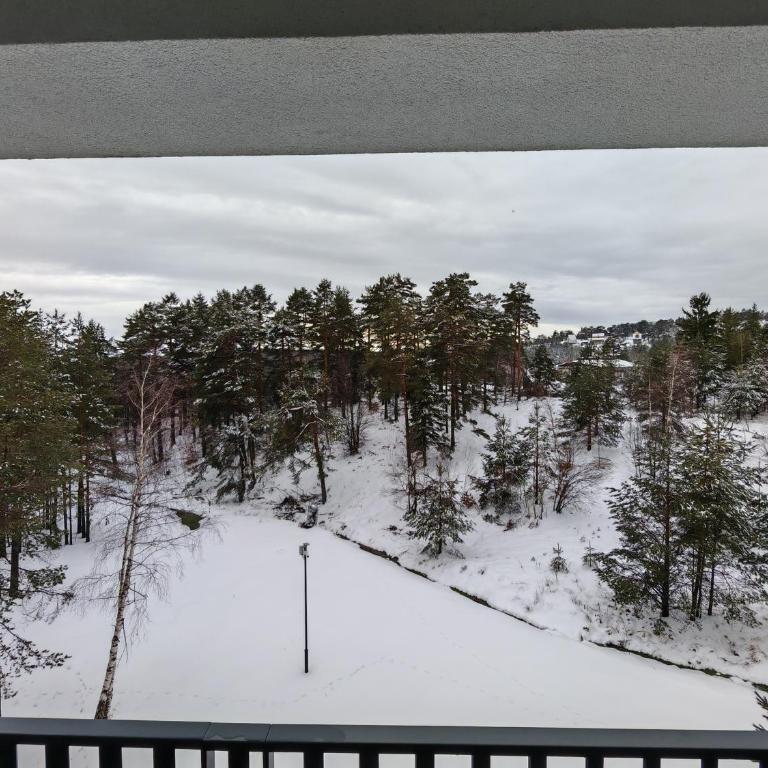 Apartman Maxim Divčibare - Apartman sa 1 Spavaćom Sobom - 22
