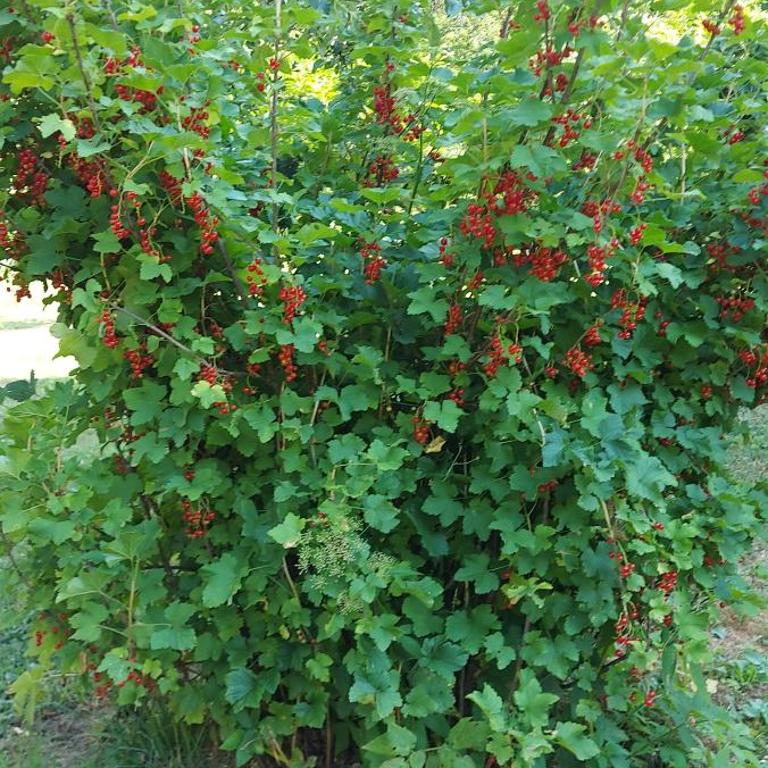 Vila Verusa 2 - Two-Bedroom House - 27