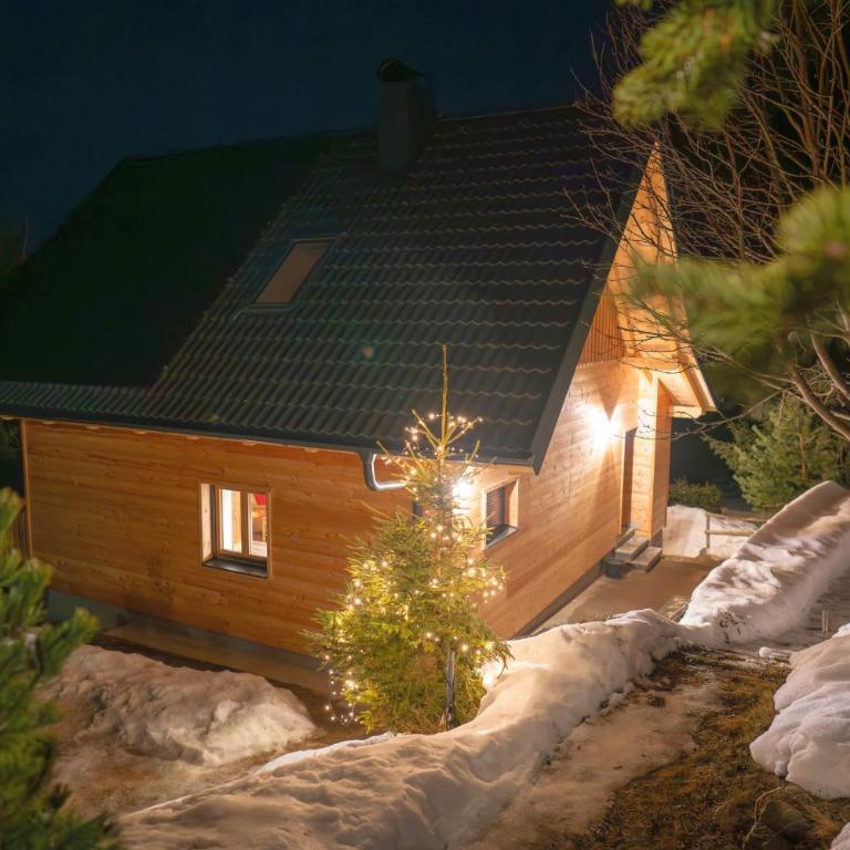ALMNEST - LACHTAL - Ferienhaus - 43