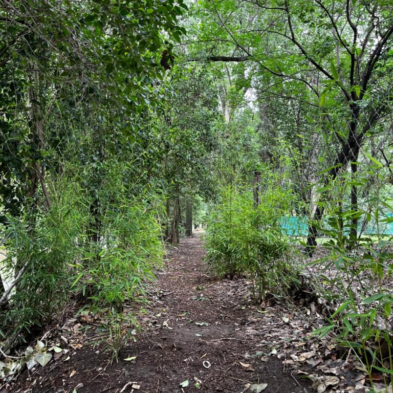 Casa de verano Marcos Lopez - Apartamento de 2 dormitorios - 3