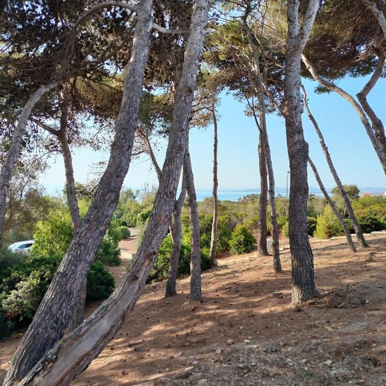 Cala Lupo, 400m dalla spiaggia - One-Bedroom Apartment - 1