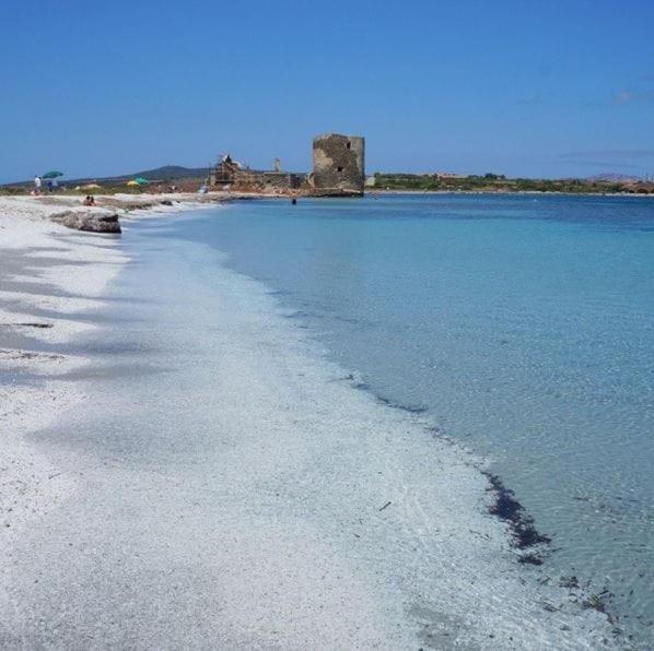 Cala Lupo, 400m dalla spiaggia - One-Bedroom Apartment - 17