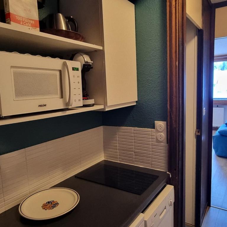 Studio lumineux pour 4 pers. au pied des pistes, balcon sud, animaux admis - Studio - 6