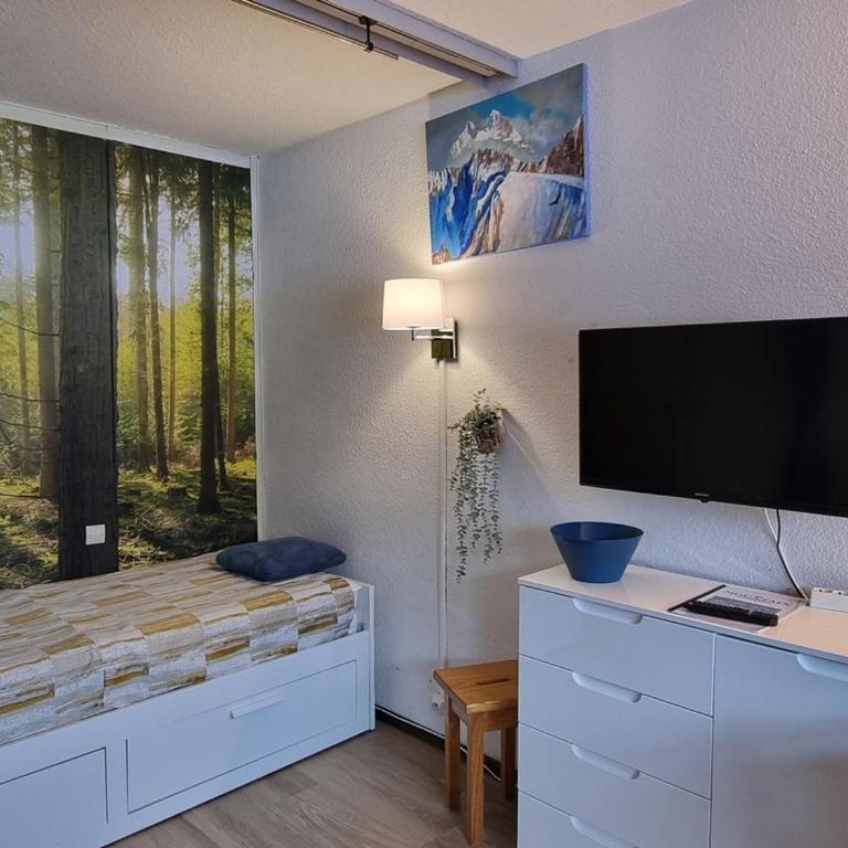 Studio lumineux pour 4 pers. au pied des pistes, balcon sud, animaux admis - Studio - 7
