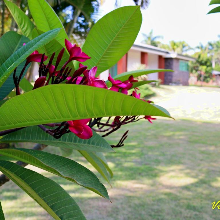 Villa Licht, Obligado Center - Three-Bedroom House - 30