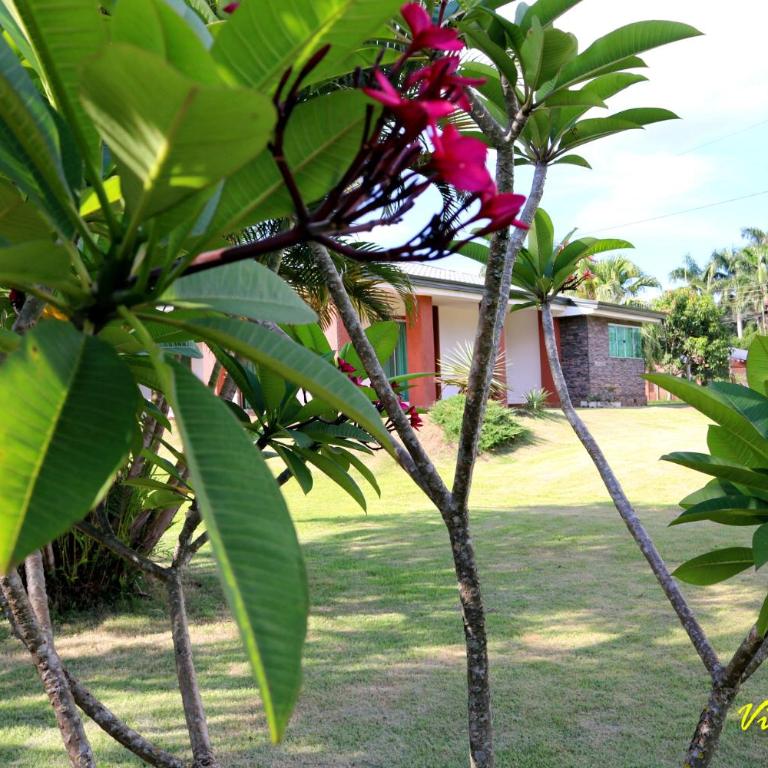 Villa Licht, Obligado Center - Three-Bedroom House - 31