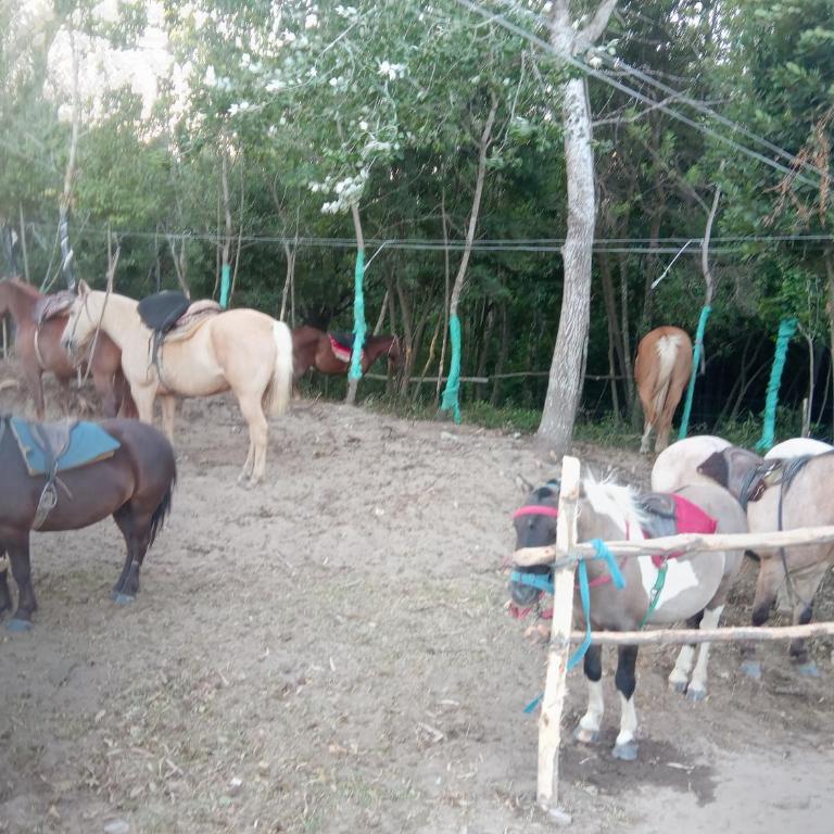 Entre aromos y lavandas - Apartamento de 2 dormitorios - 15
