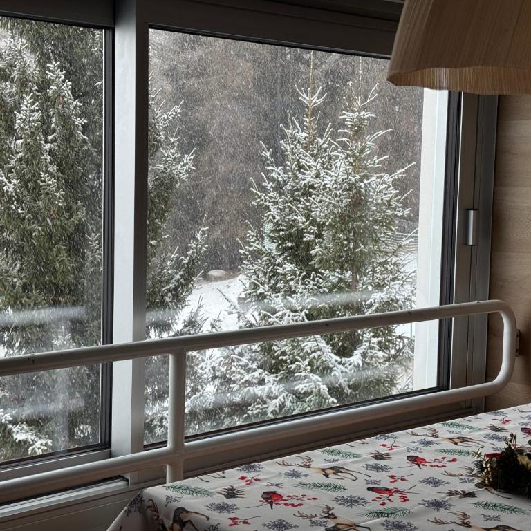 Panorama Marilleva 1400 - Val di Sole - Two-Bedroom Apartment - 2
